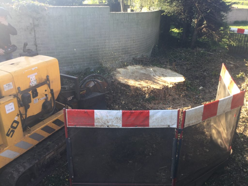 Tree Stump Removal Chemical 5 Shire Tree Surgery I Warwickshire